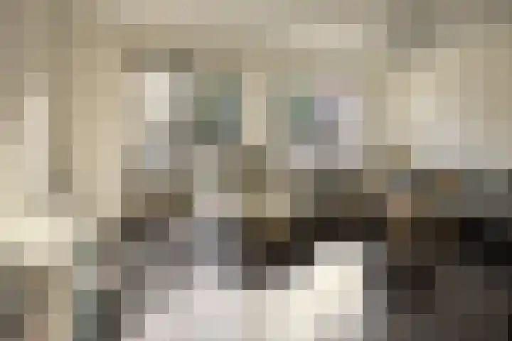 Afbramerij 4 Vaassen thumbnail 5