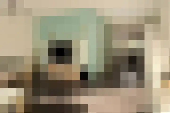 Afbramerij 4 Vaassen thumbnail 6