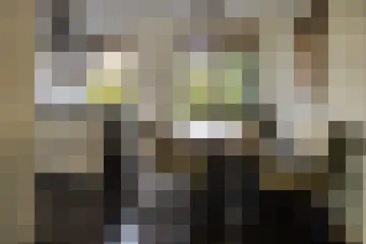 Afbramerij 4 Vaassen thumbnail 7