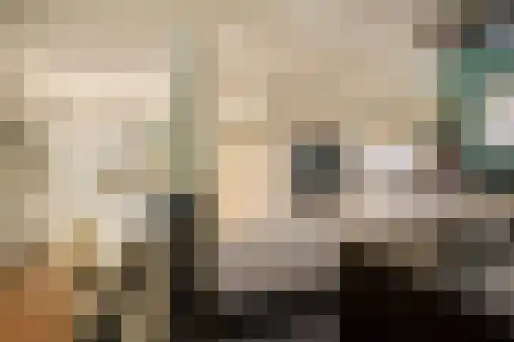 Afbramerij 4 Vaassen thumbnail 8