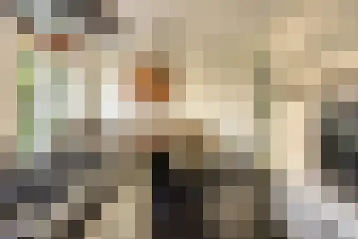 Afbramerij 4 Vaassen thumbnail 9