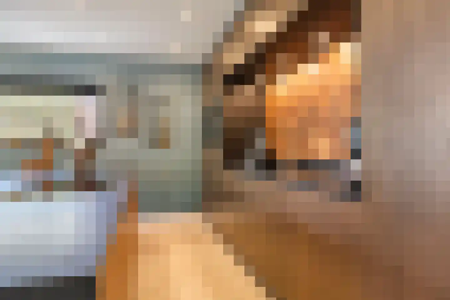 Afferdse Heide 36 Afferden L thumbnail 11