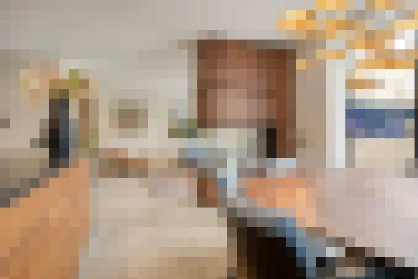 Afferdse Heide 36 Afferden L thumbnail 17