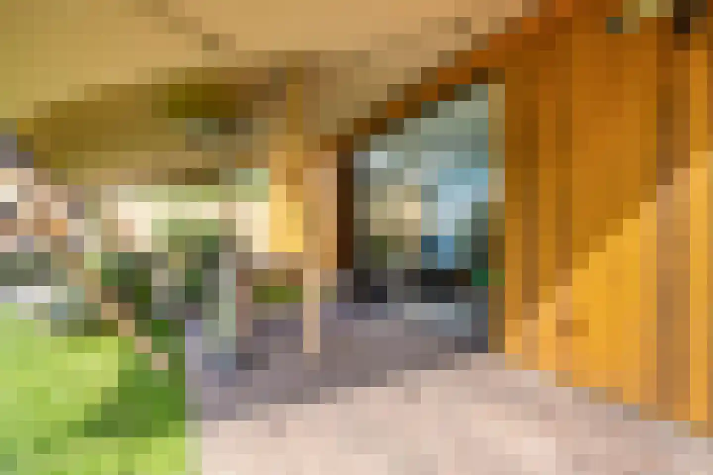 Afferdse Heide 36 Afferden L thumbnail 28