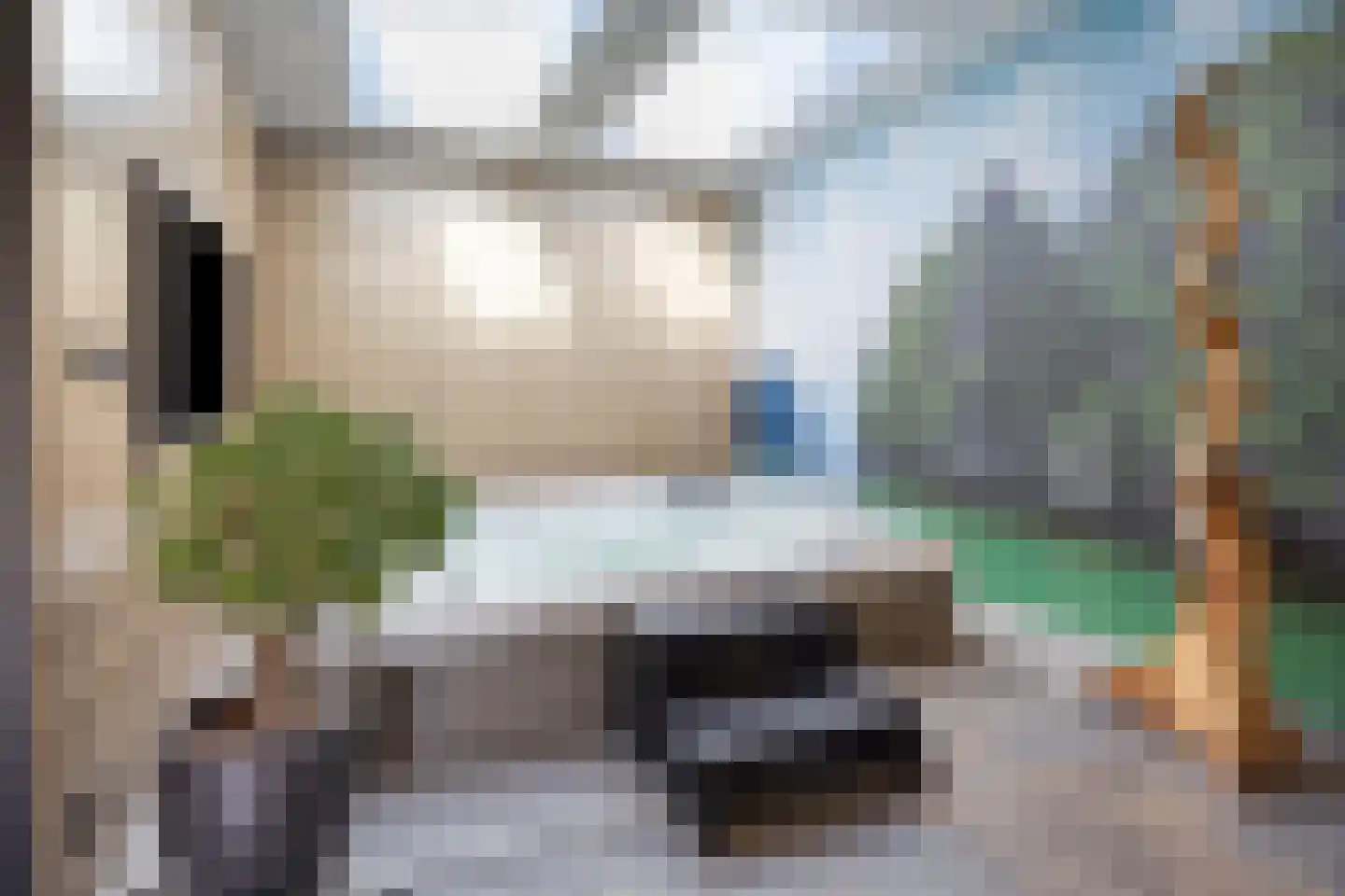 Afferdse Heide 36 Afferden L thumbnail 29