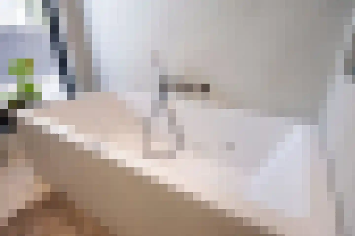 Afferdse Heide 36 Afferden L thumbnail 39