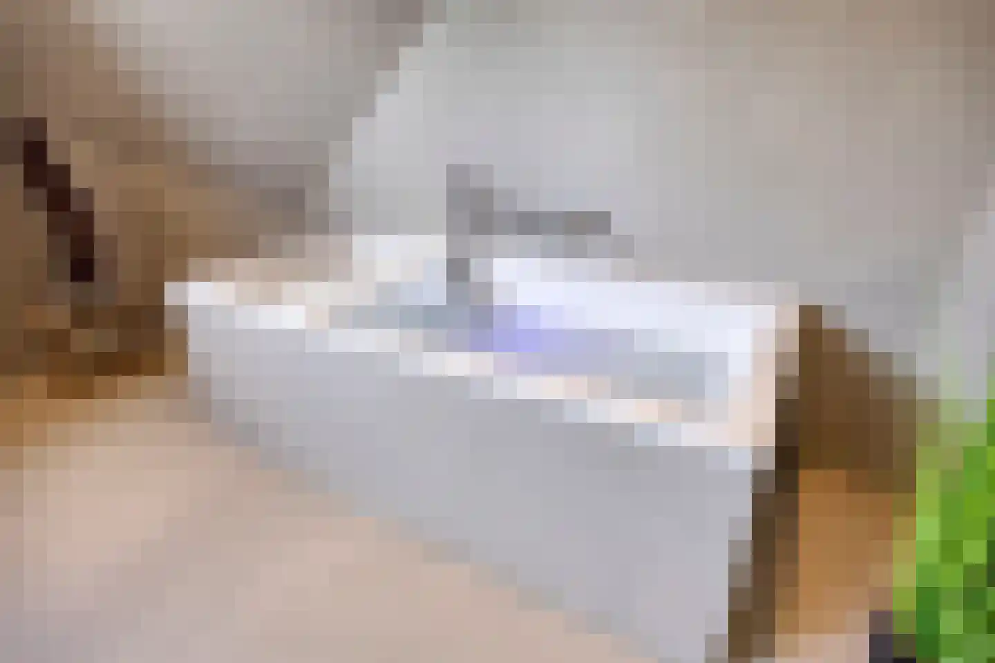 Afferdse Heide 36 Afferden L thumbnail 50