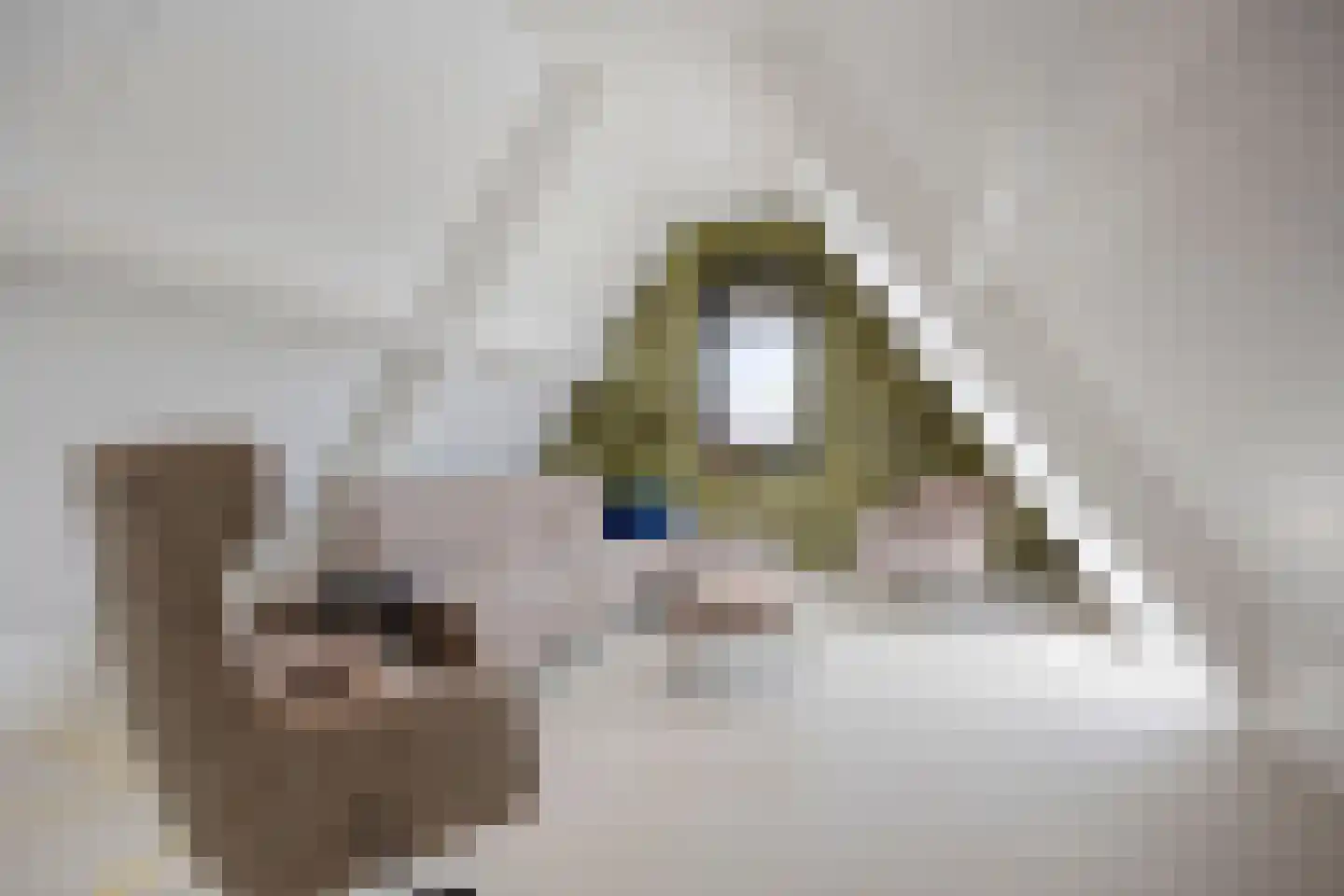Afferdse Heide 36 Afferden L thumbnail 60