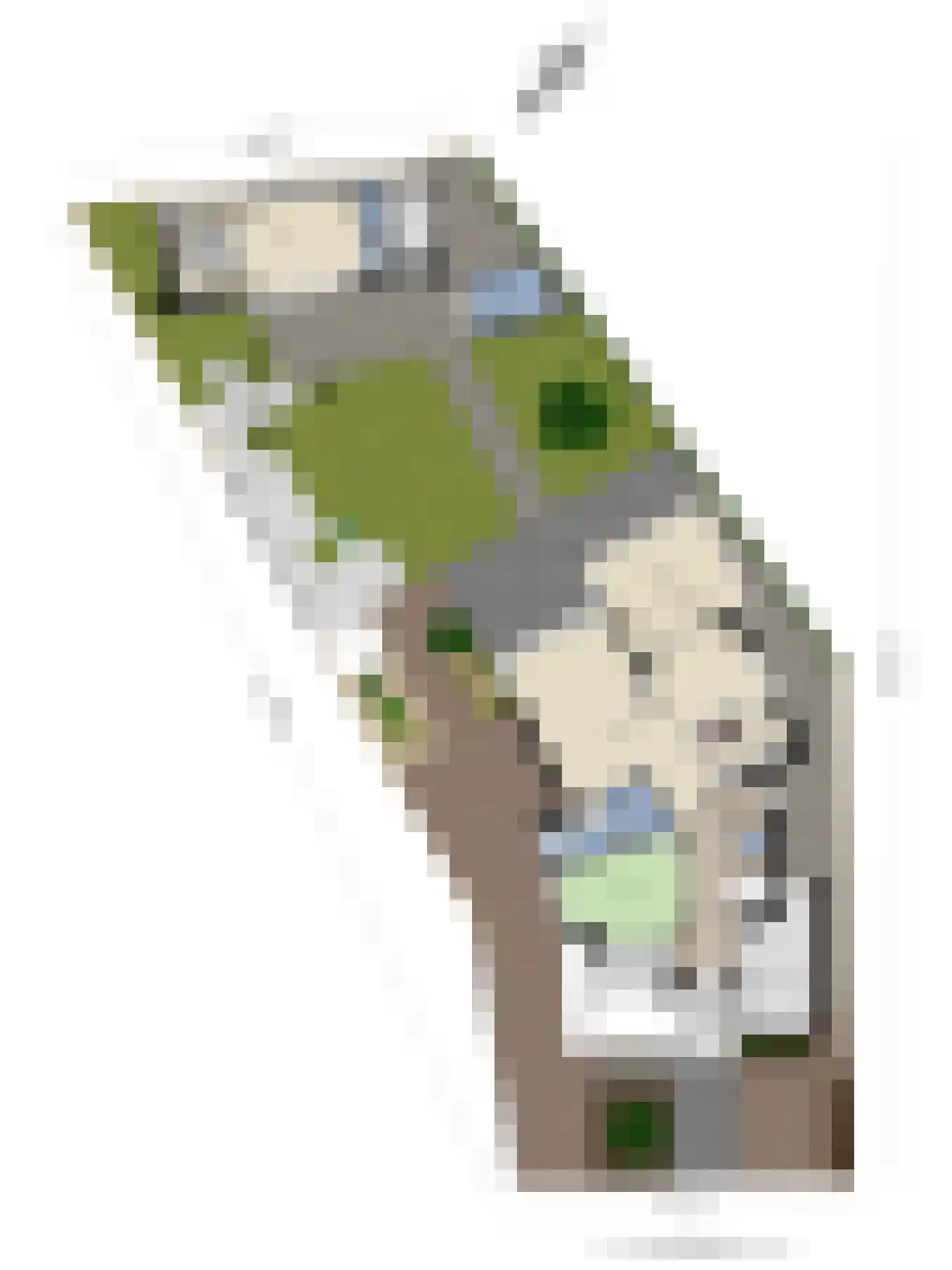 Afferdse Heide 36 Afferden L thumbnail 78
