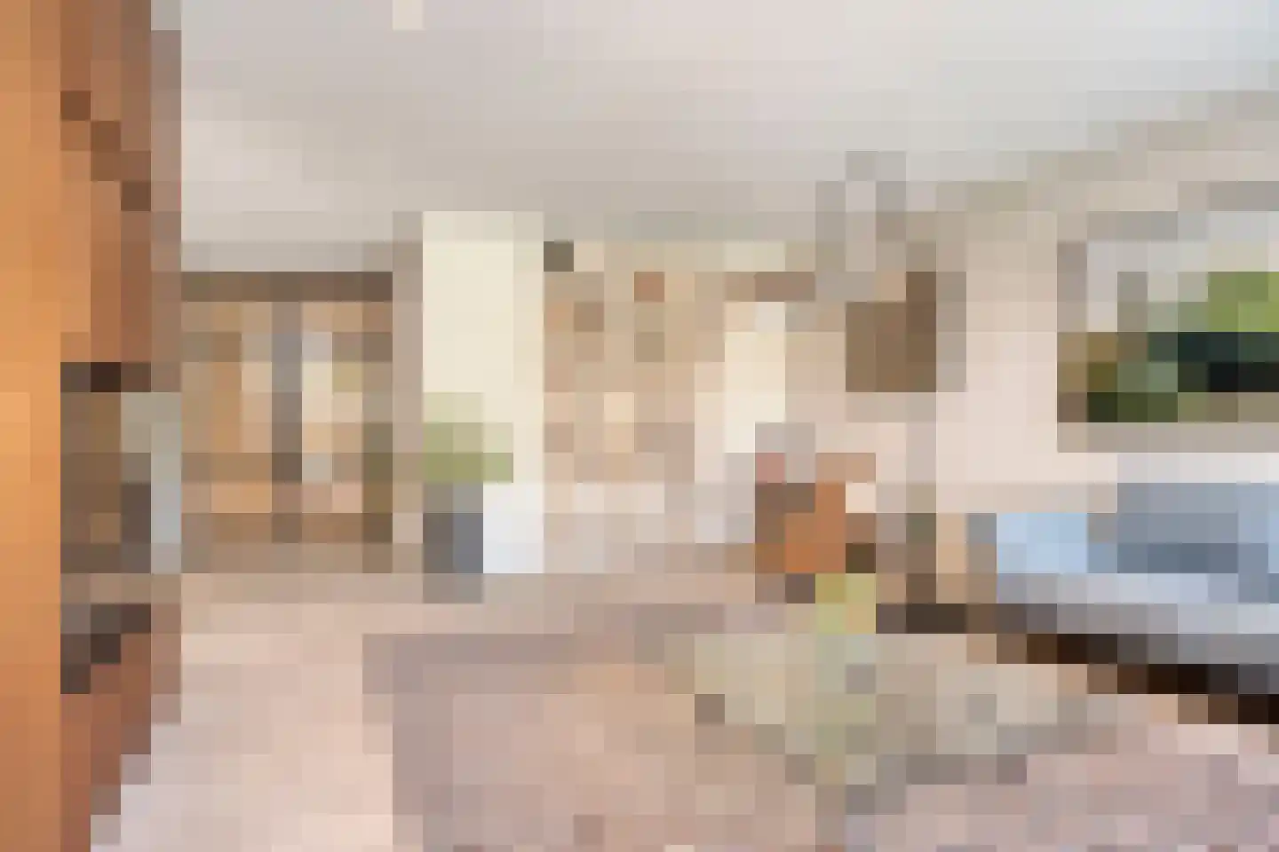 Afferdse Heide 36 Afferden L thumbnail 8
