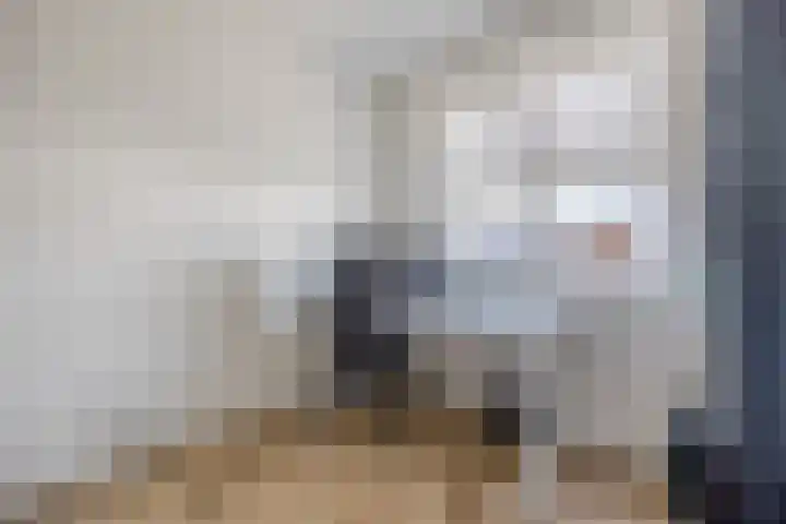 Affuit 25 Bergen op Zoom thumbnail 28