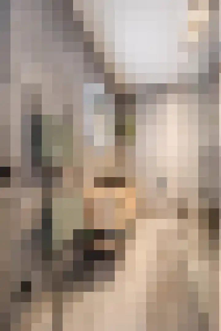 Affuit 25 Bergen op Zoom thumbnail 31