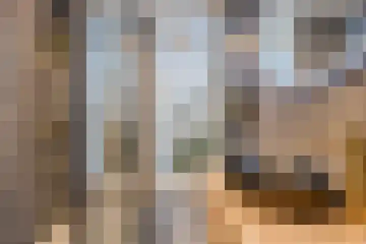 Affuit 25 Bergen op Zoom thumbnail 33