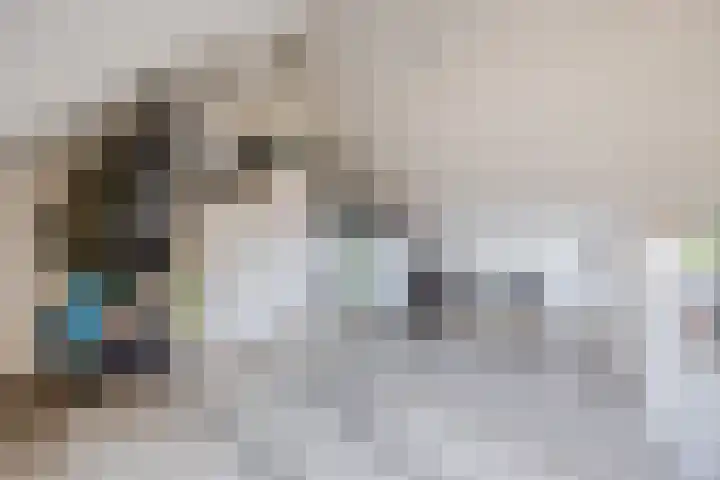 Affuit 25 Bergen op Zoom thumbnail 37