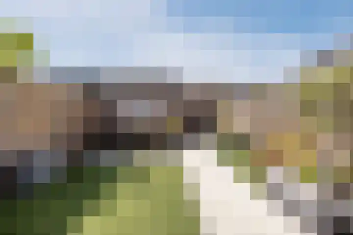 Affuit 25 Bergen op Zoom thumbnail 42