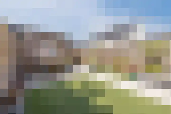Affuit 25 Bergen op Zoom thumbnail 44