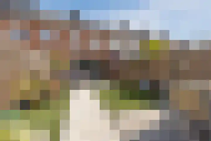 Affuit 25 Bergen op Zoom thumbnail 45