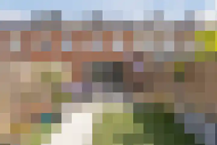 Affuit 25 Bergen op Zoom thumbnail 46