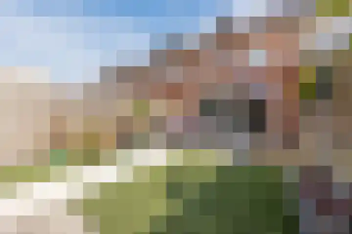 Affuit 25 Bergen op Zoom thumbnail 47