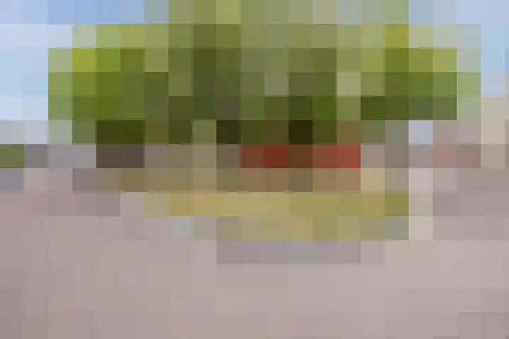 Affuit 25 Bergen op Zoom thumbnail 48