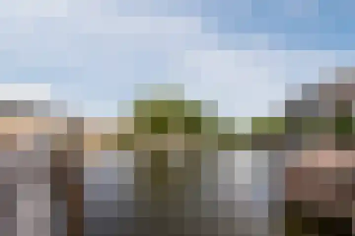 Affuit 25 Bergen op Zoom thumbnail 53