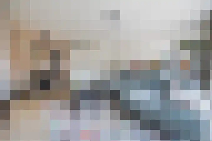 Affuit 25 Bergen op Zoom thumbnail 7
