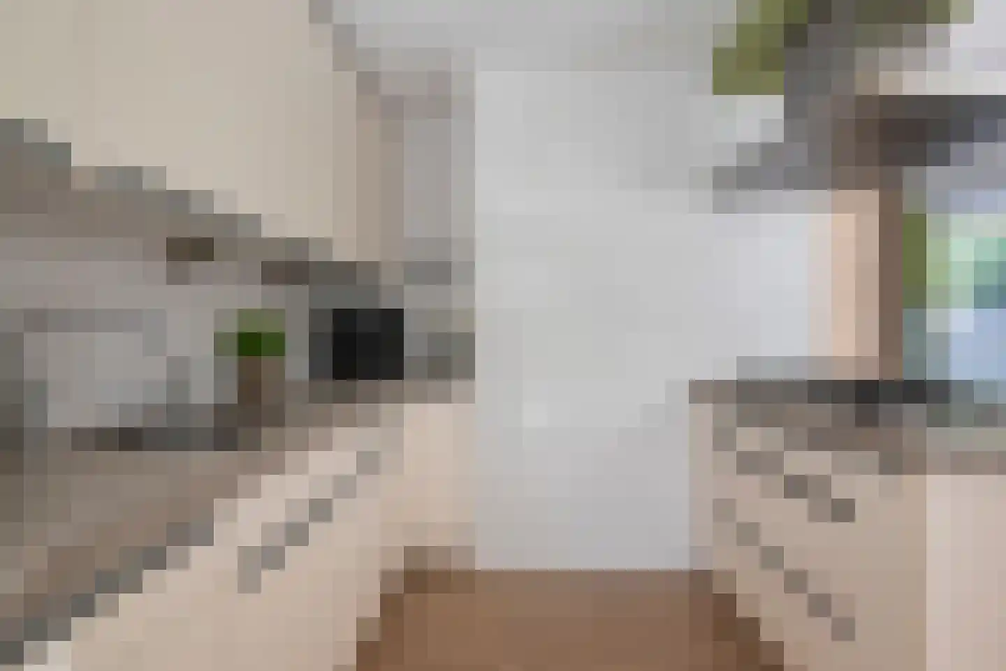 Affuit 3 Vijfhuizen thumbnail 13