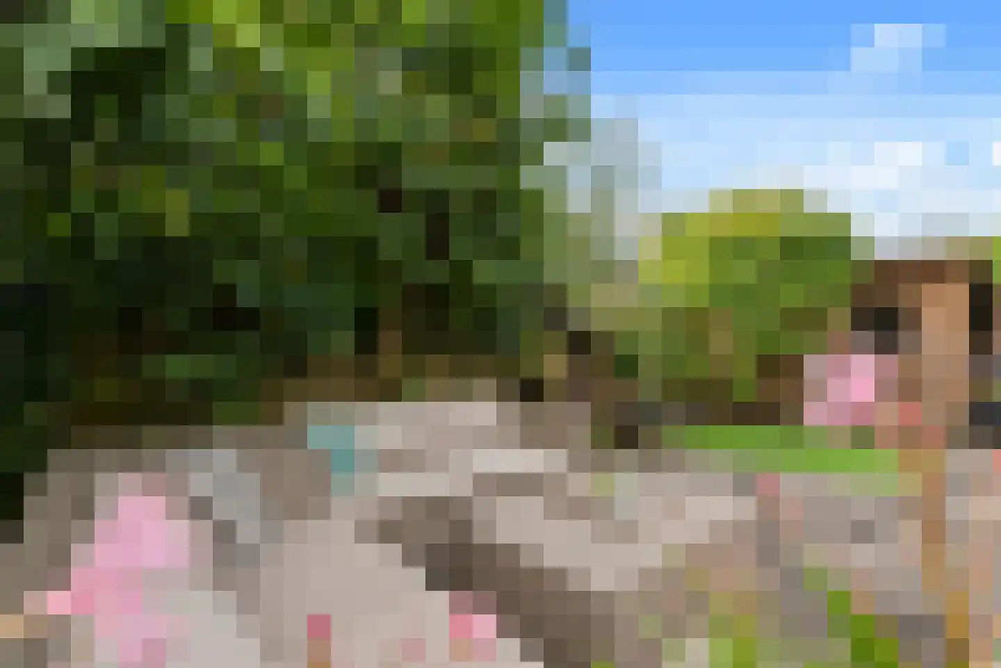 Affuit 3 Vijfhuizen thumbnail 21