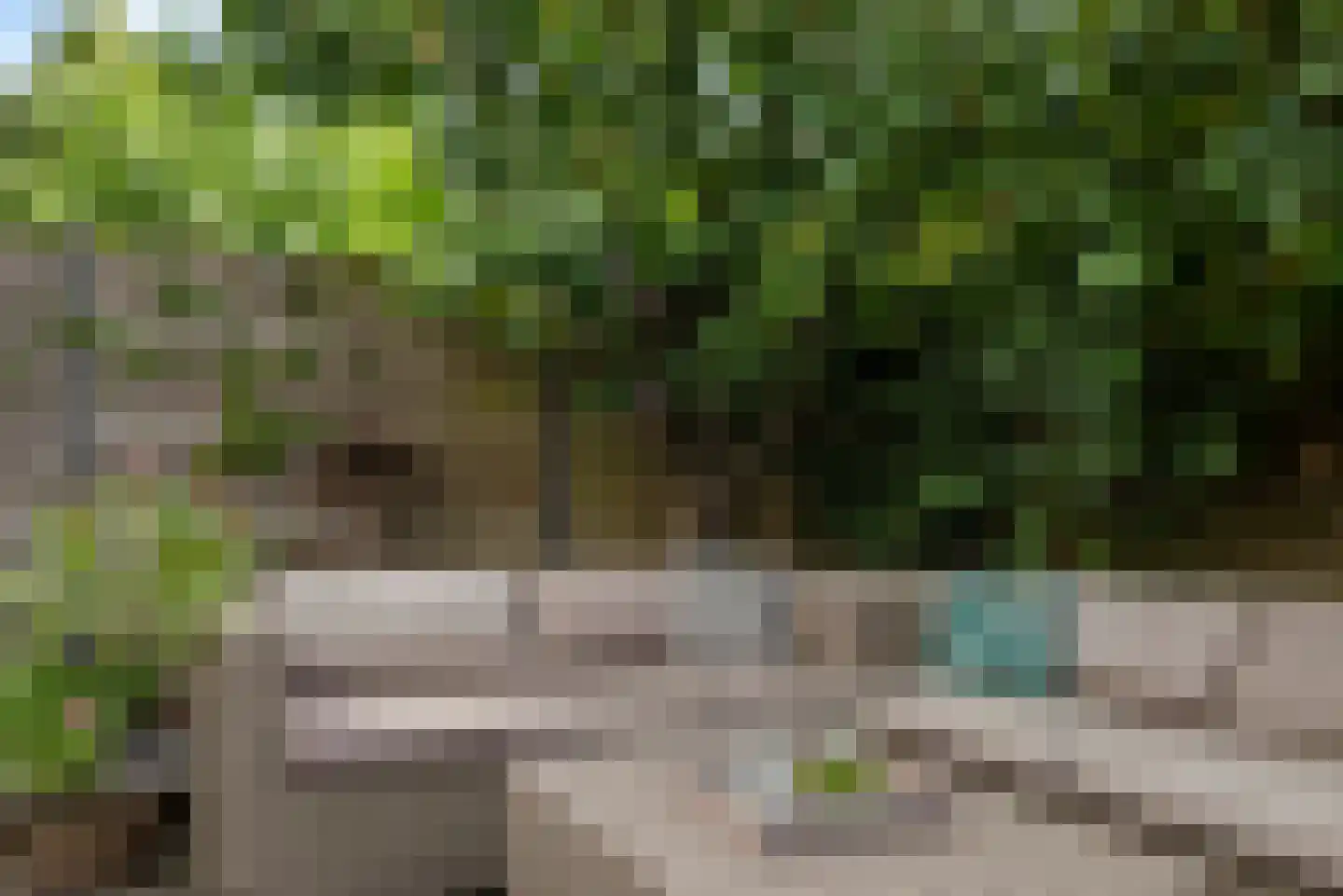 Affuit 3 Vijfhuizen thumbnail 22