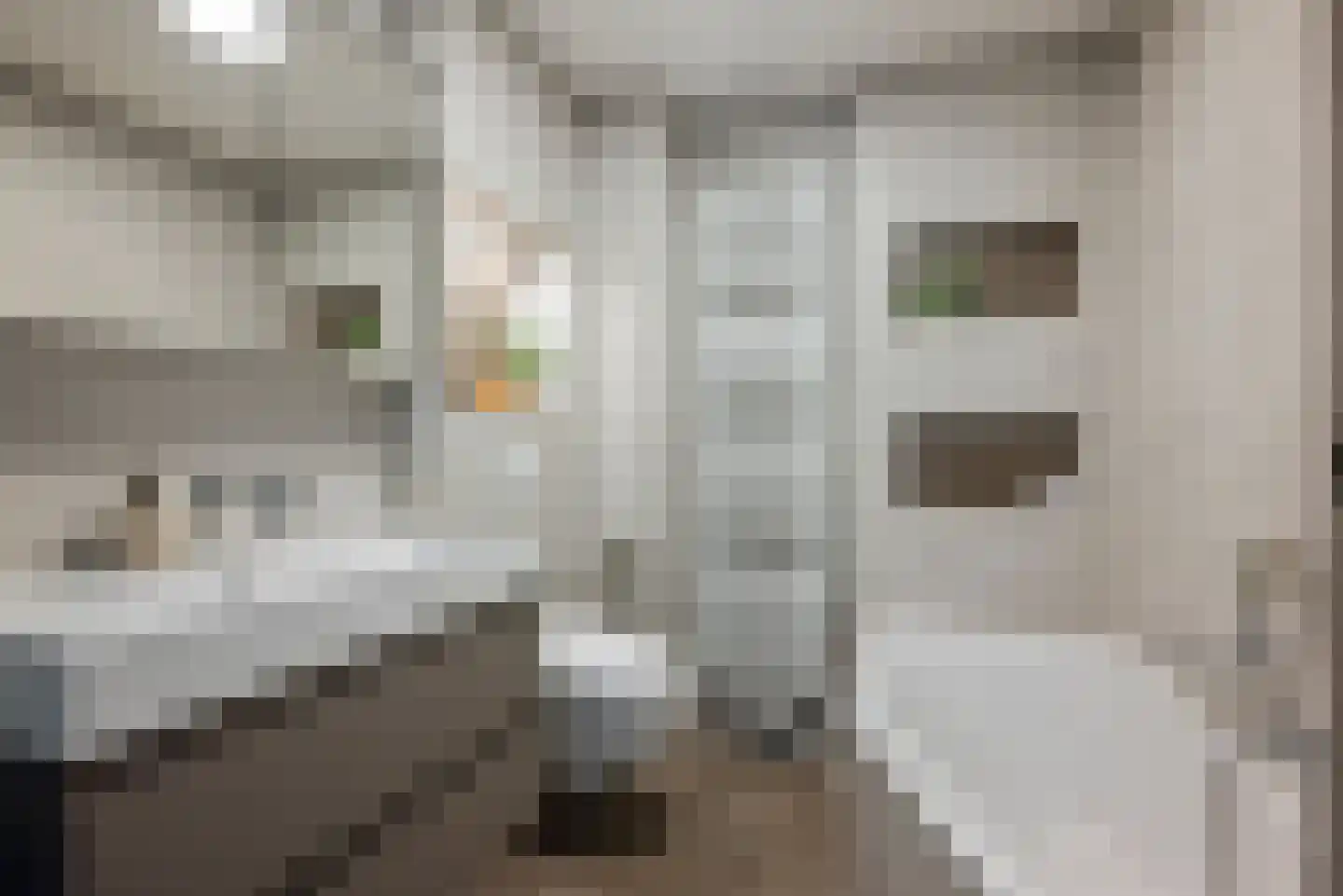 Affuit 3 Vijfhuizen thumbnail 33