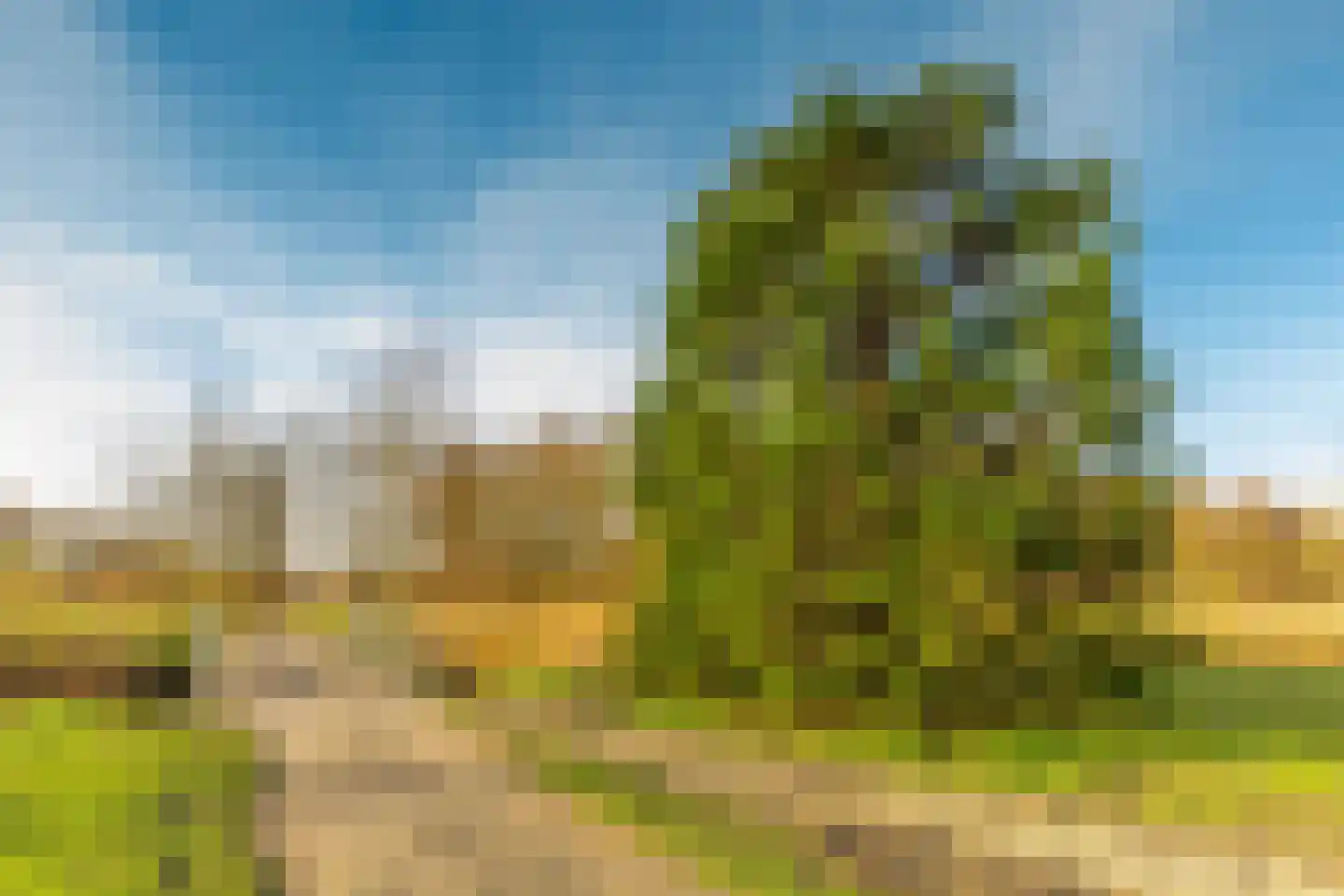 Affuit 3 Vijfhuizen thumbnail 37