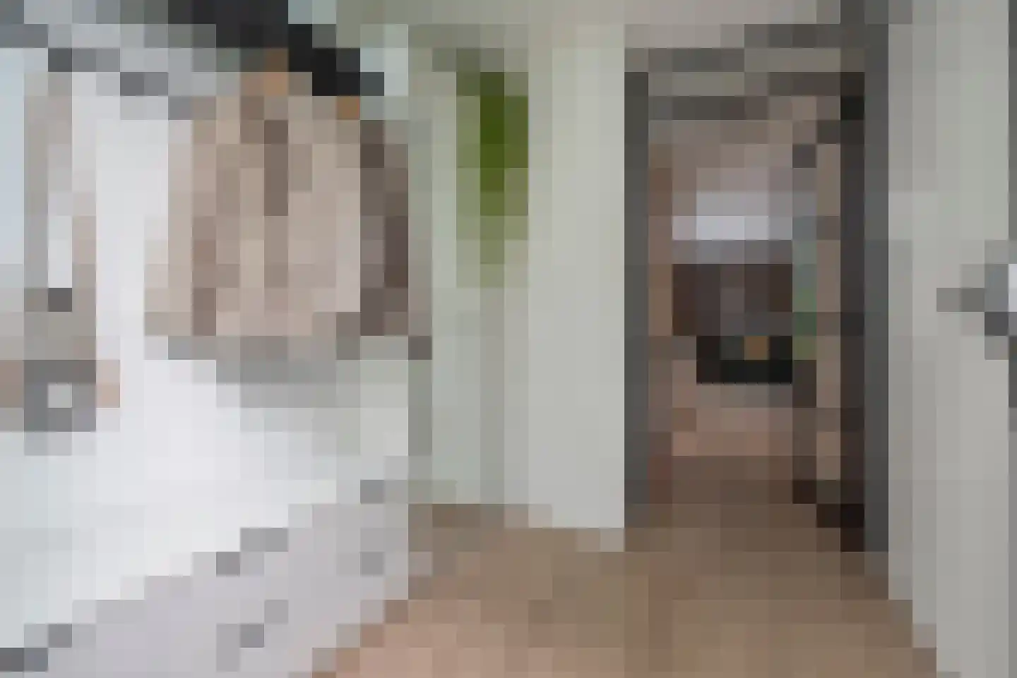 Affuit 3 Vijfhuizen thumbnail 4