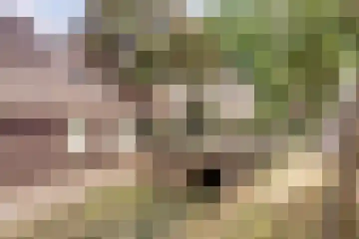 Affuithof 21 Gorinchem thumbnail 32