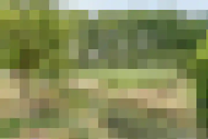 Affuithof 21 Gorinchem thumbnail 33