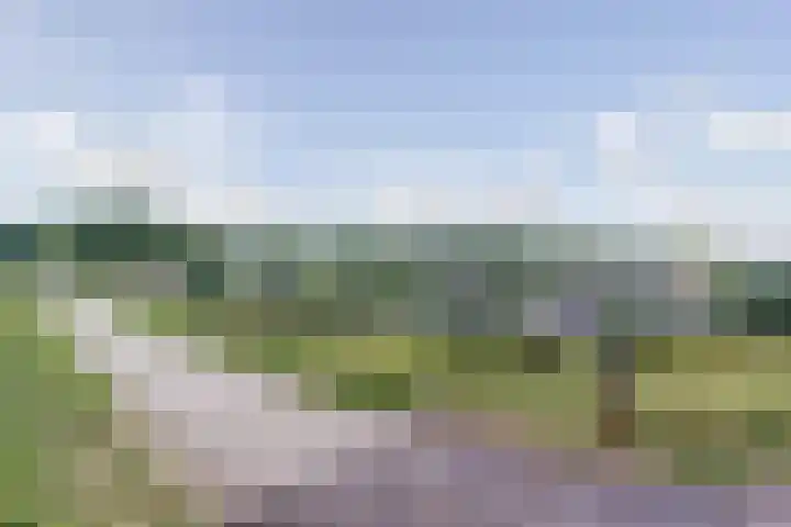 Affuithof 21 Gorinchem thumbnail 34