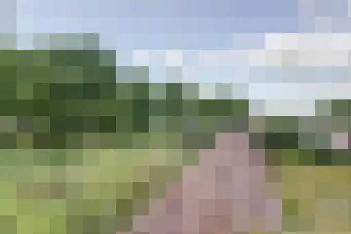 Affuithof 21 Gorinchem thumbnail 35