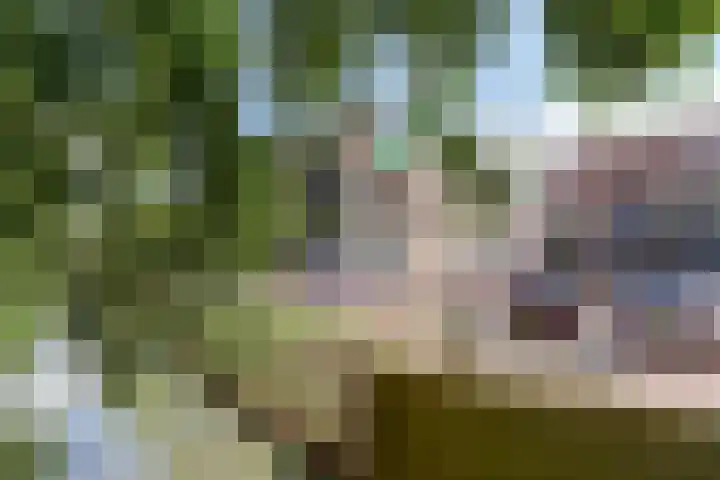 Affuithof 21 Gorinchem thumbnail 37
