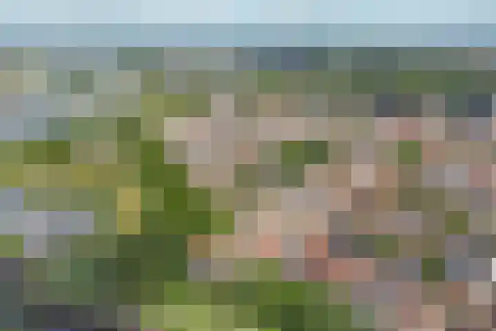 Affuithof 21 Gorinchem thumbnail 4