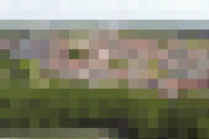 Affuithof 21 Gorinchem thumbnail 44