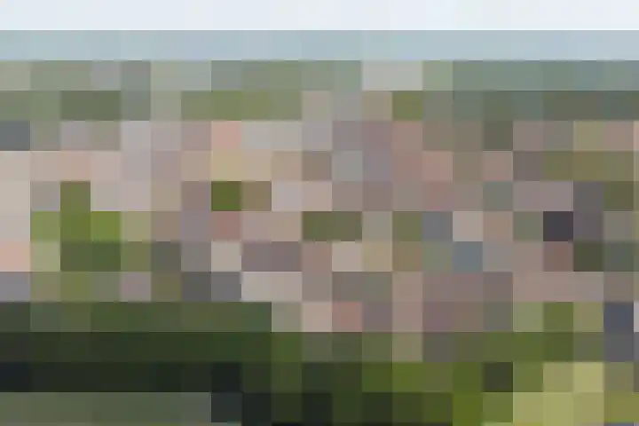 Affuithof 21 Gorinchem thumbnail 46