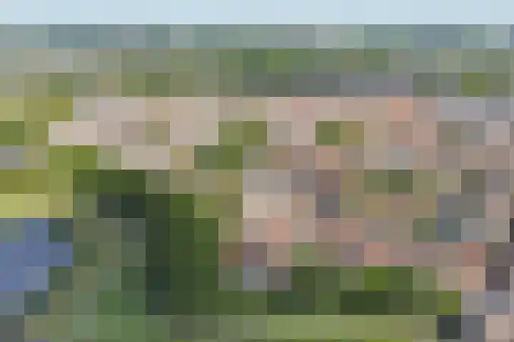 Affuithof 21 Gorinchem thumbnail 47
