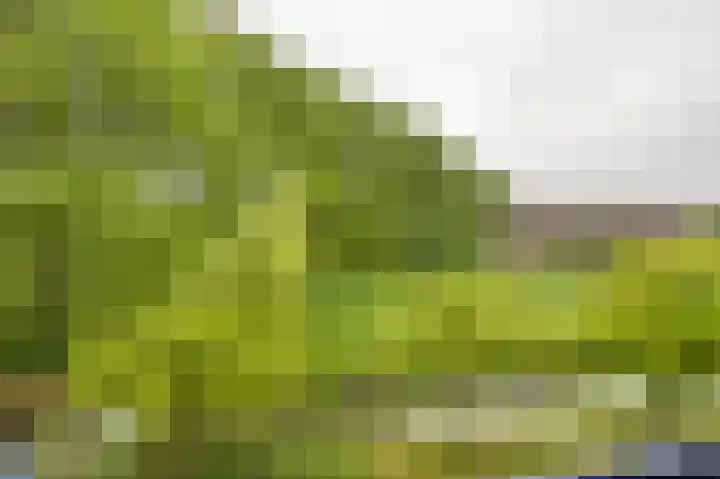 Affuithof 31 Gorinchem thumbnail 15