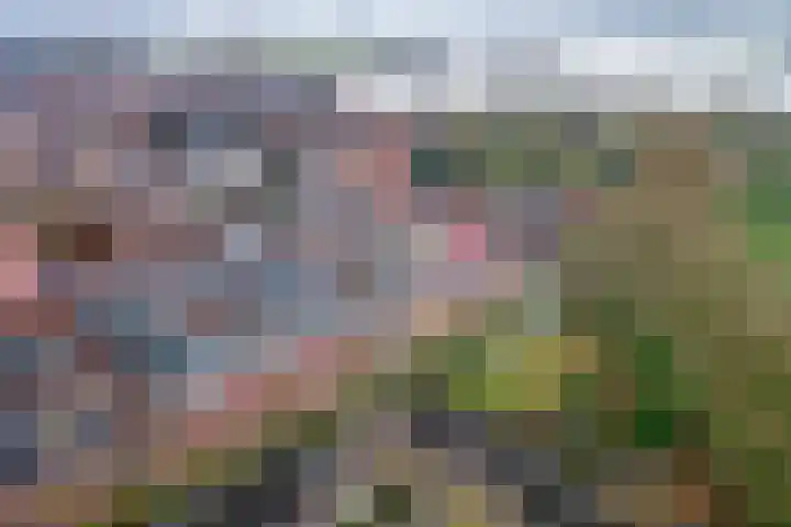Affuithof 31 Gorinchem thumbnail 25
