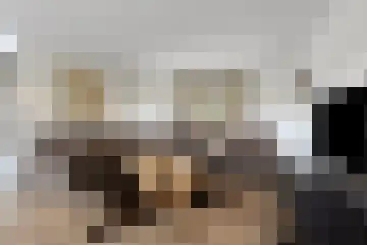 Afgeslechtedijk 17 Steenbergen thumbnail 10