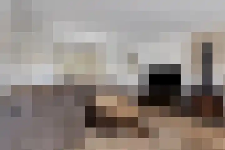 Afgeslechtedijk 17 Steenbergen thumbnail 19