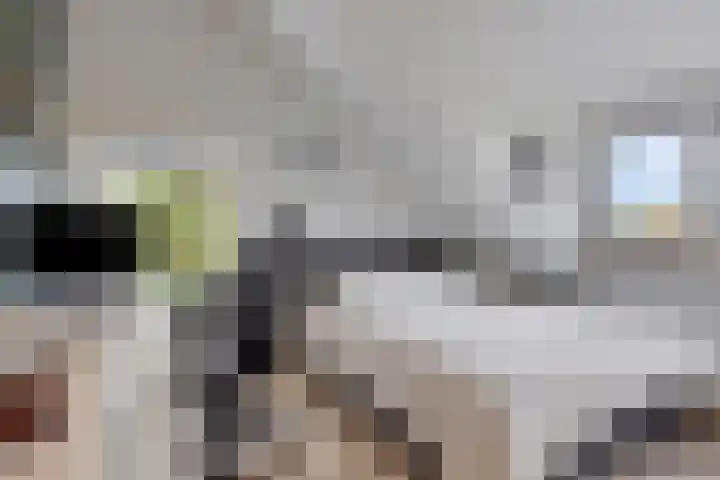 Afgeslechtedijk 17 Steenbergen thumbnail 21