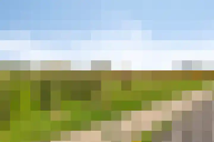 Afgeslechtedijk 17 Steenbergen thumbnail 40