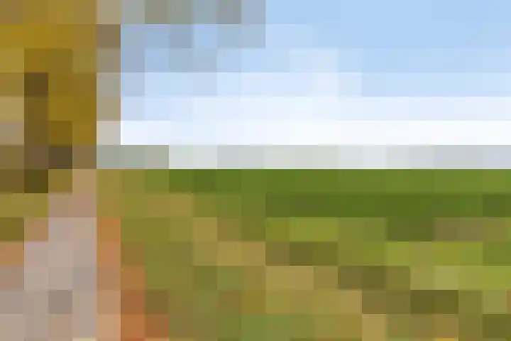 Afgeslechtedijk 17 Steenbergen thumbnail 41