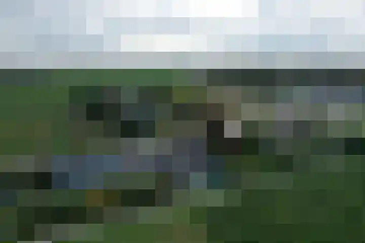 Afgeslechtedijk 17 Steenbergen thumbnail 42