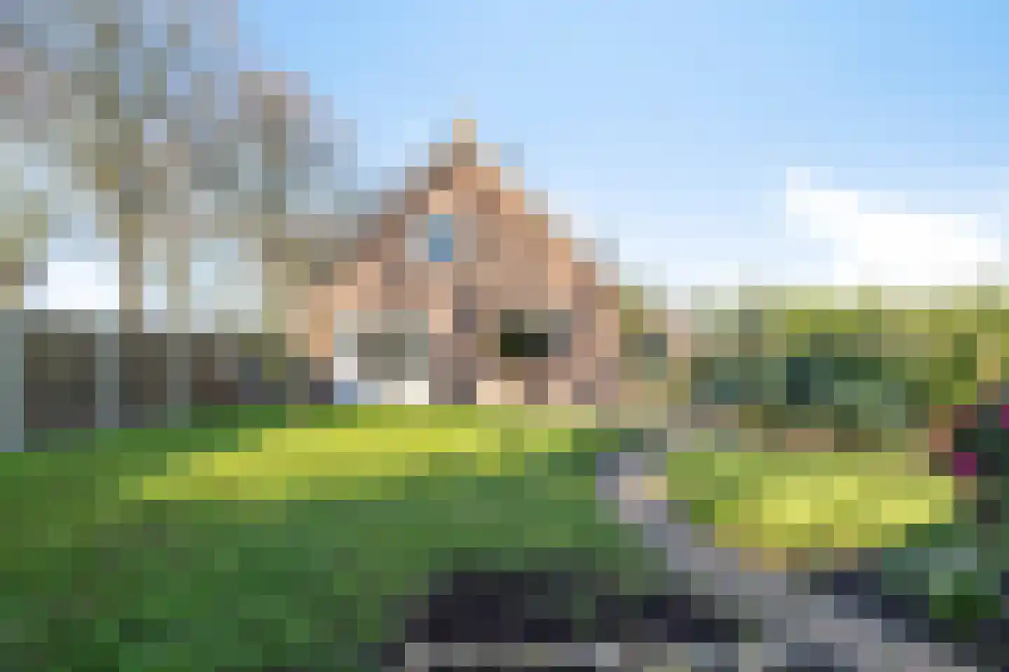 Afgeslechtedijk 29 Steenbergen